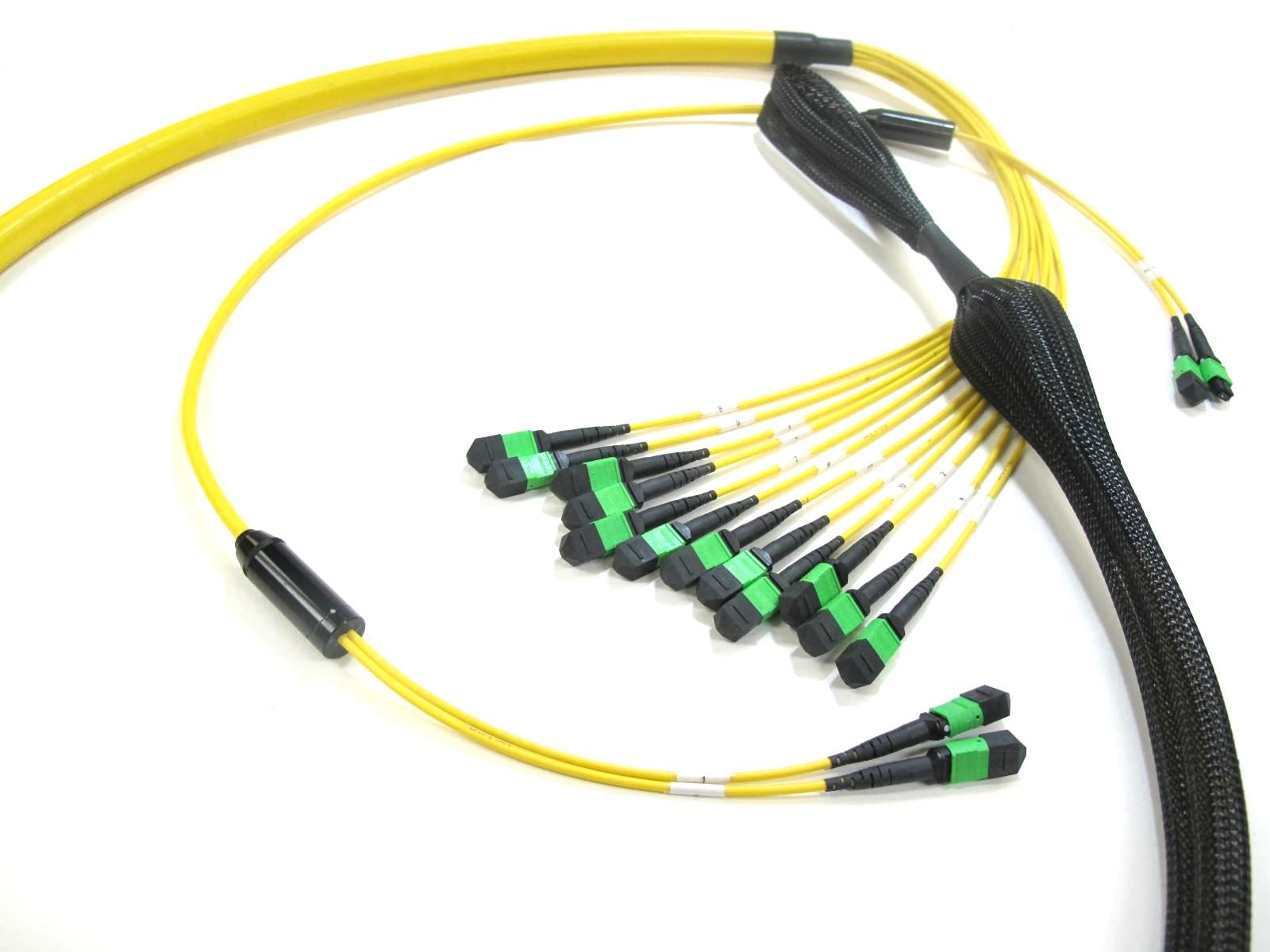 Single Mode MTP/MPO Trunk Cable